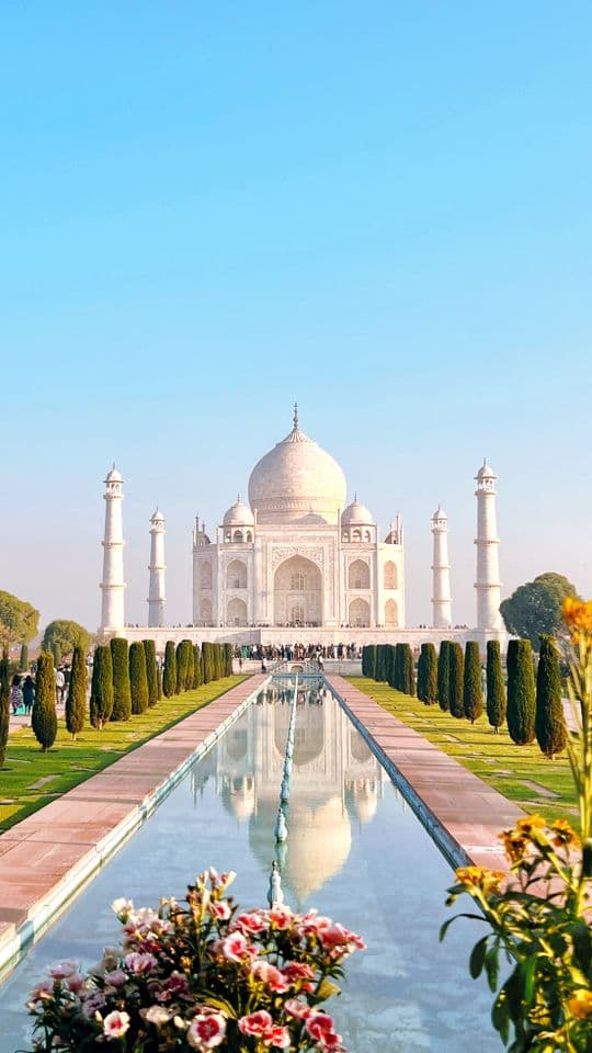 Dawat-e-Ishq travel reel template preview